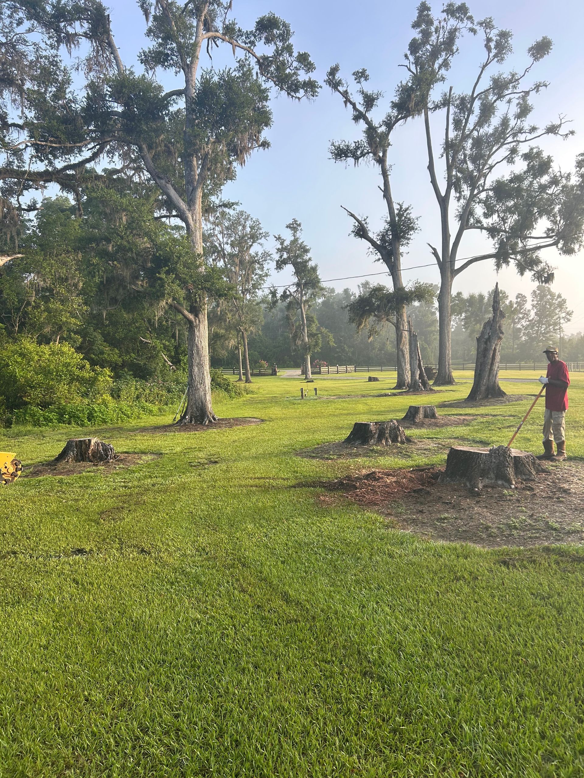 Grassy park with scattered trees and a person in a red shirt standing near the right side.