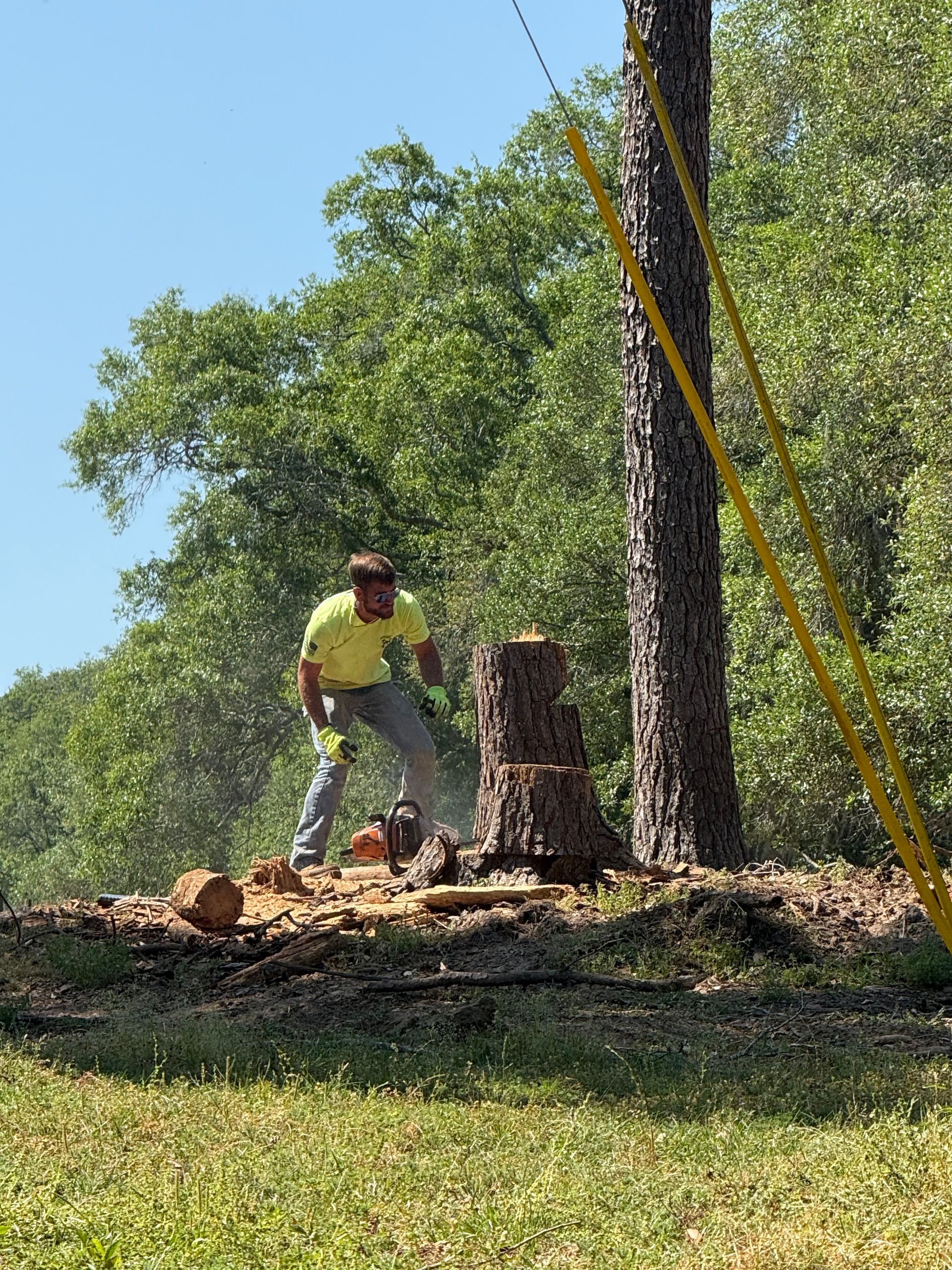 Worker in yellow shirt clearing brush beside a tree stump on a sunny hillside