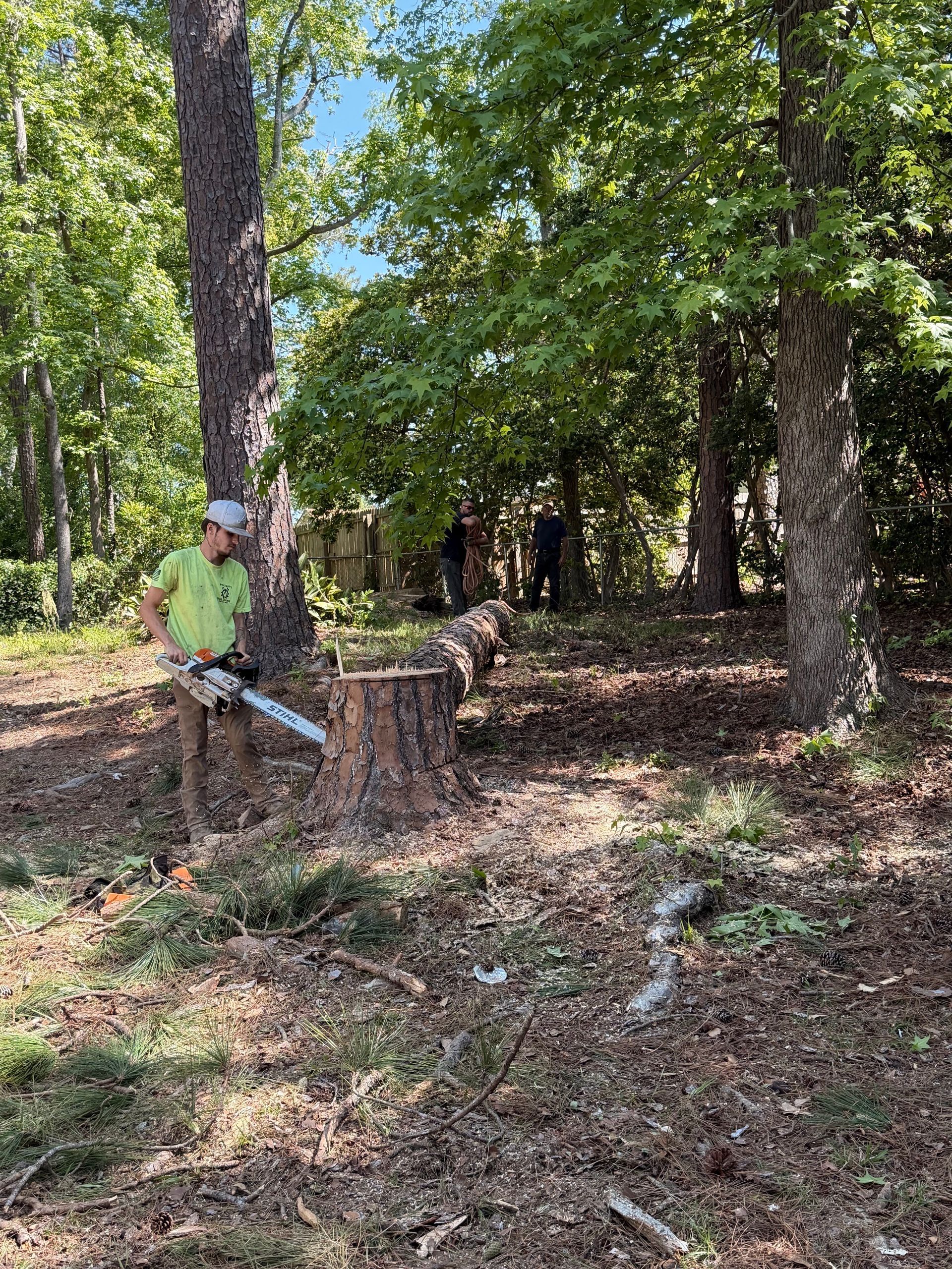 Person in a green shirt using a chainsaw on a tree stump in a wooded area