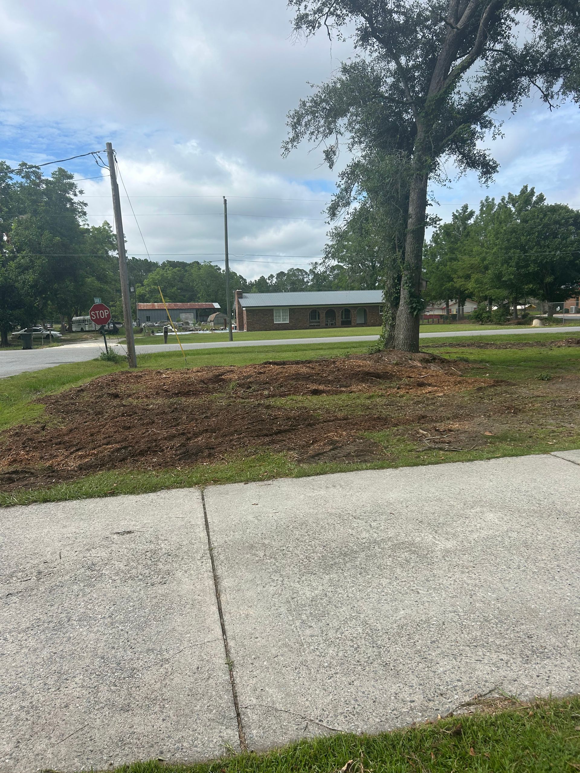 Tree-lined roadside with a grassy lot, mulch bed, and a small building under a cloudy sky.