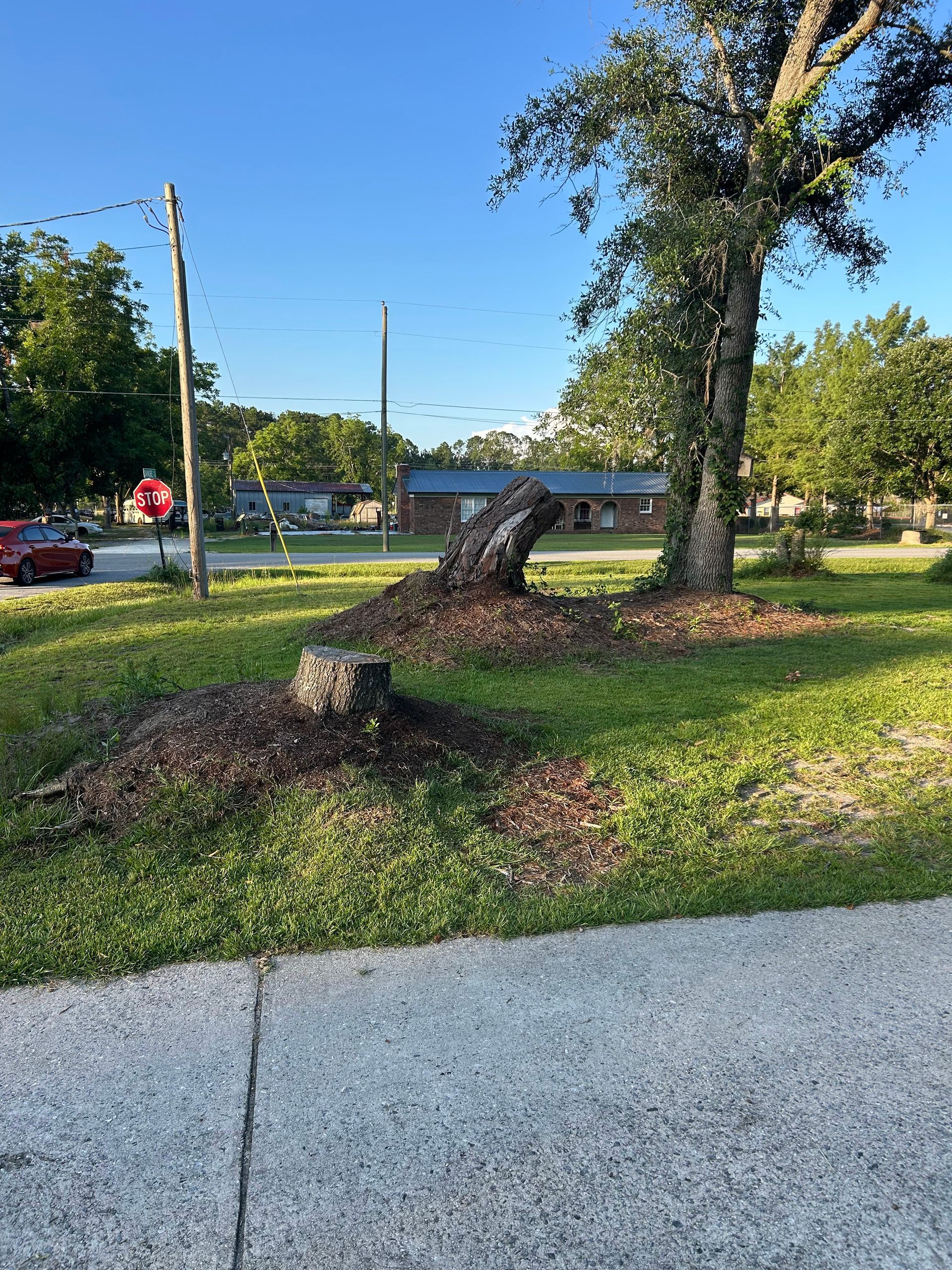 Severed tree trunk and stump in a sunny grassy yard beside a gravel path and road