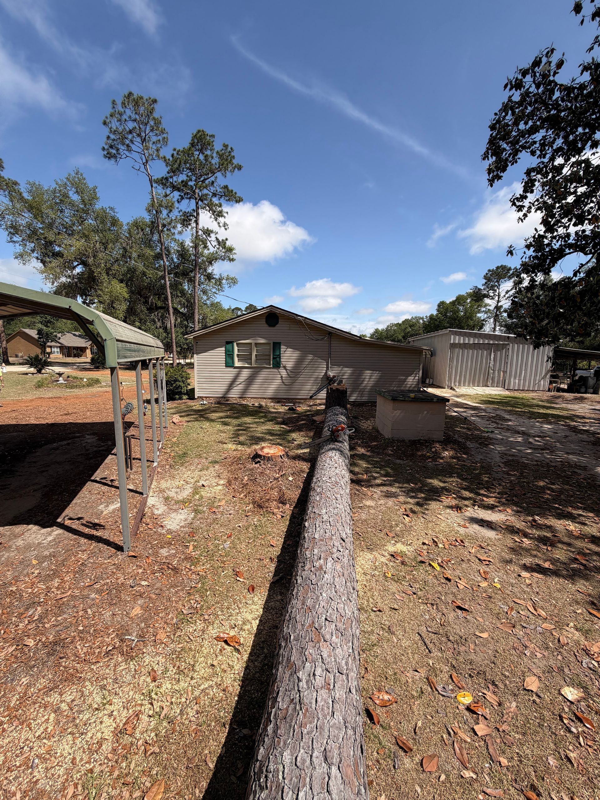 Rural yard with fallen tree trunk, small house, and trees under a blue sky