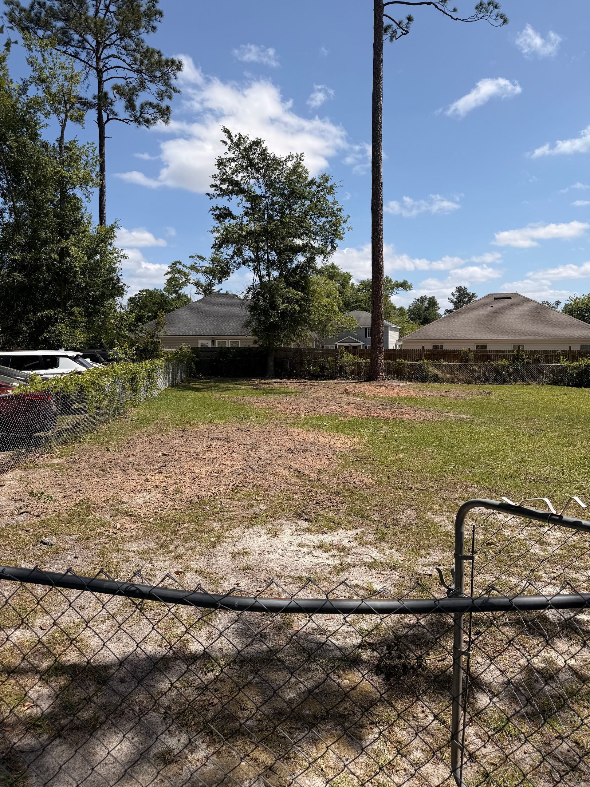 Chain-link fence framing a grassy vacant lot with scattered leaves, trees, and houses under a sunny blue sky.