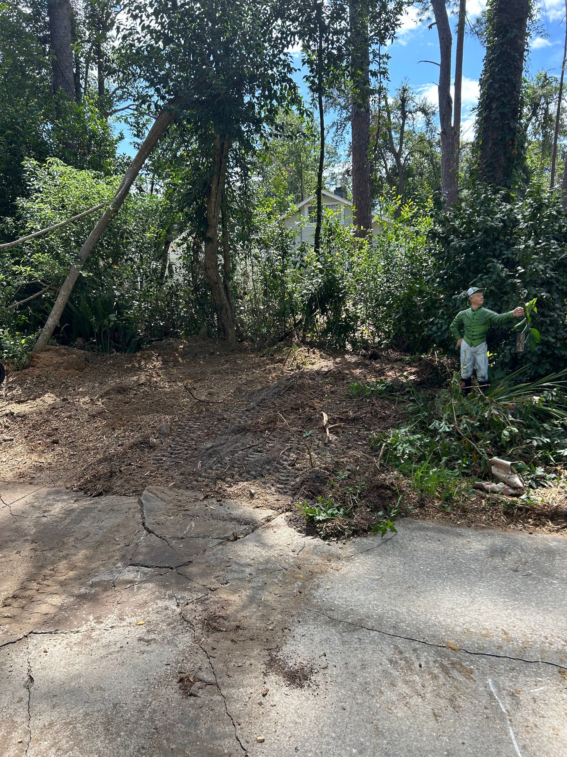 Person clearing brush beside a wooded roadside with tall trees and dry leaves