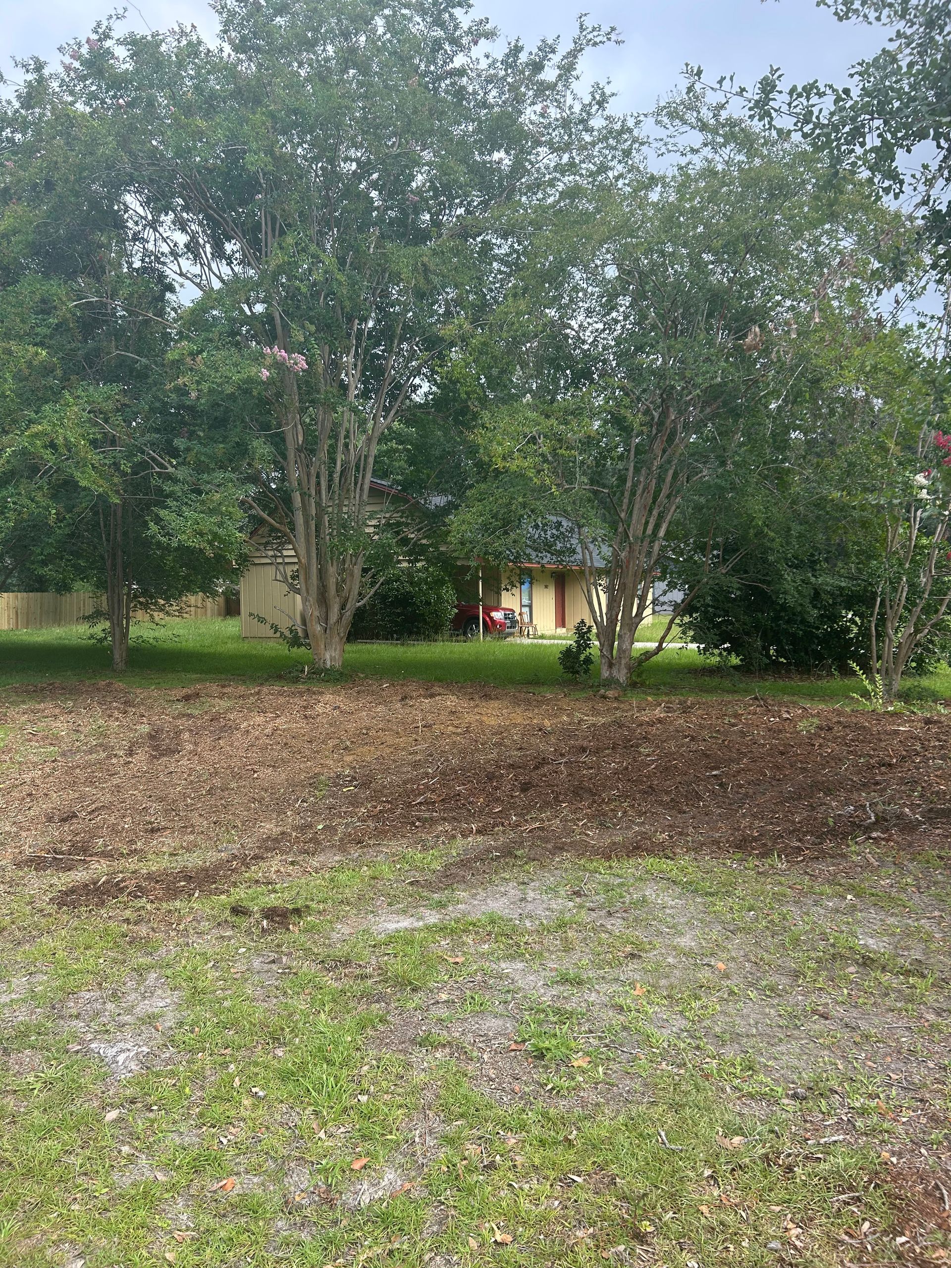 Leafy yard with large trees and a small house in the background.