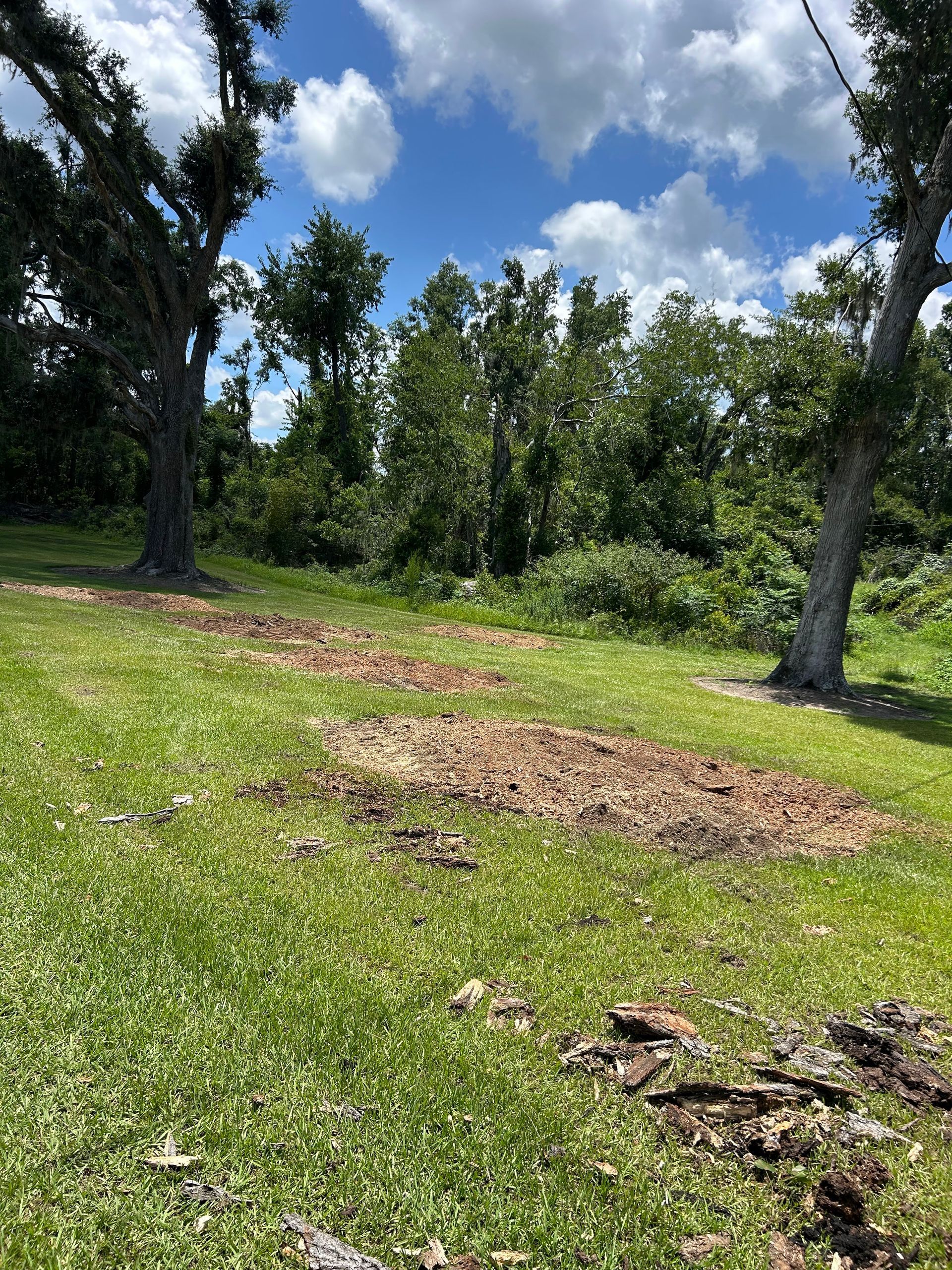 Grassy clearing with scattered trees, brown mulch patches, and a partly cloudy blue sky.