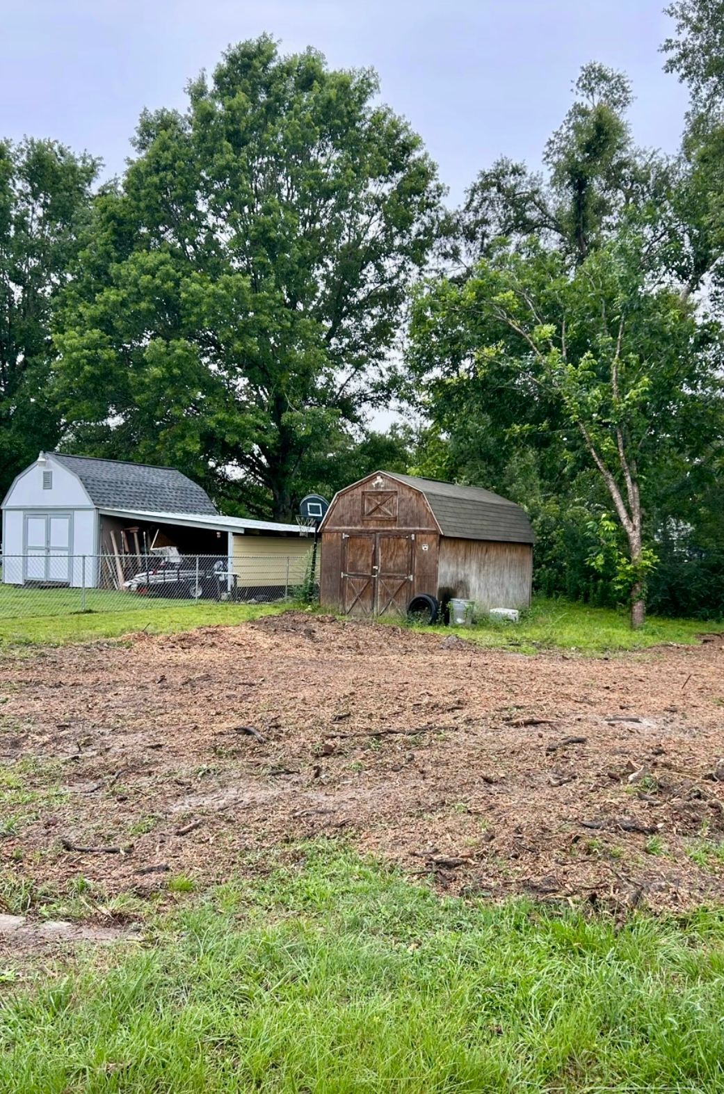 Two small sheds by a grassy field with tall trees under a cloudy sky