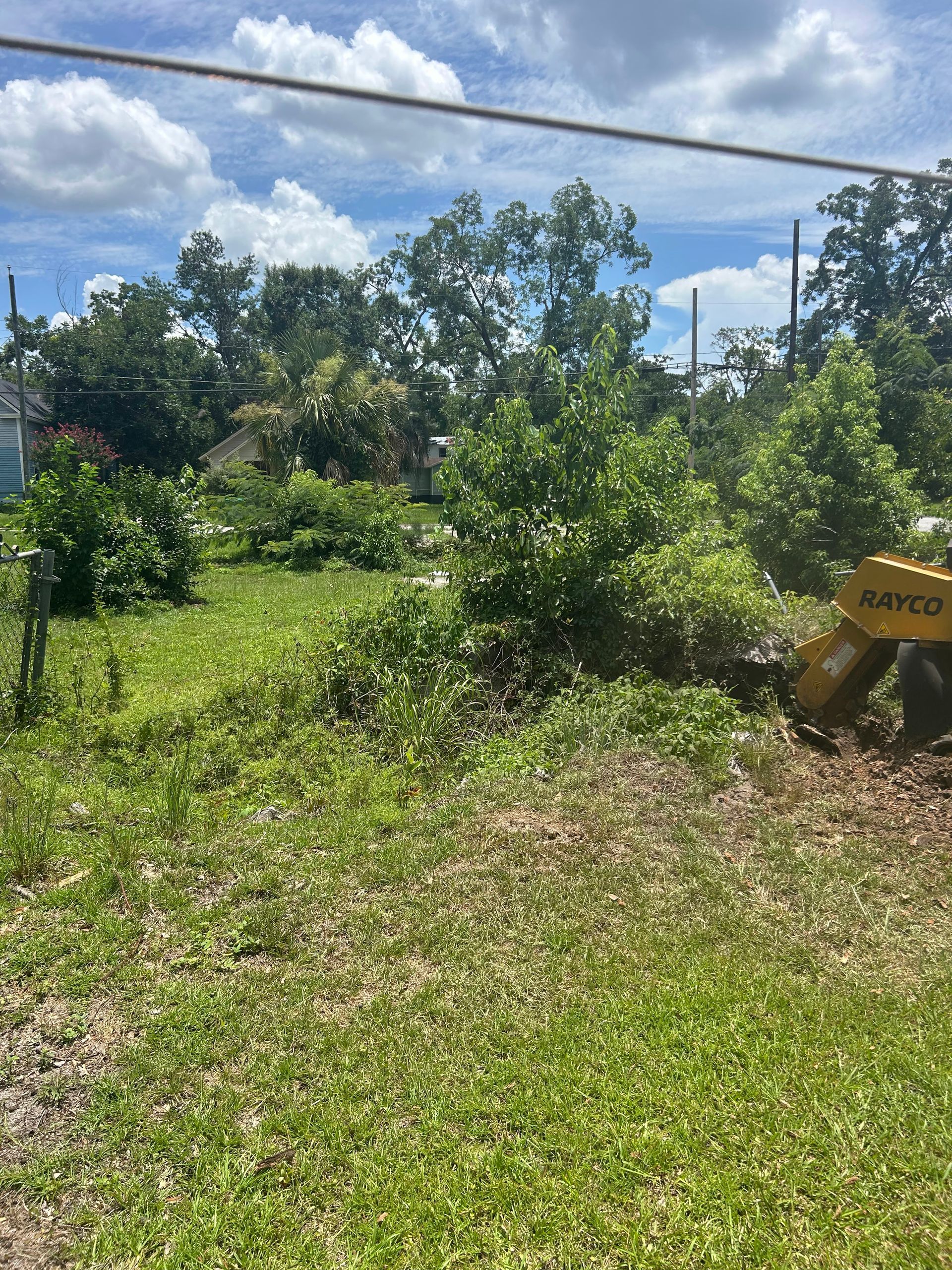 Overgrown grassy lot with trees under a blue sky and power lines, with a yellow object at right