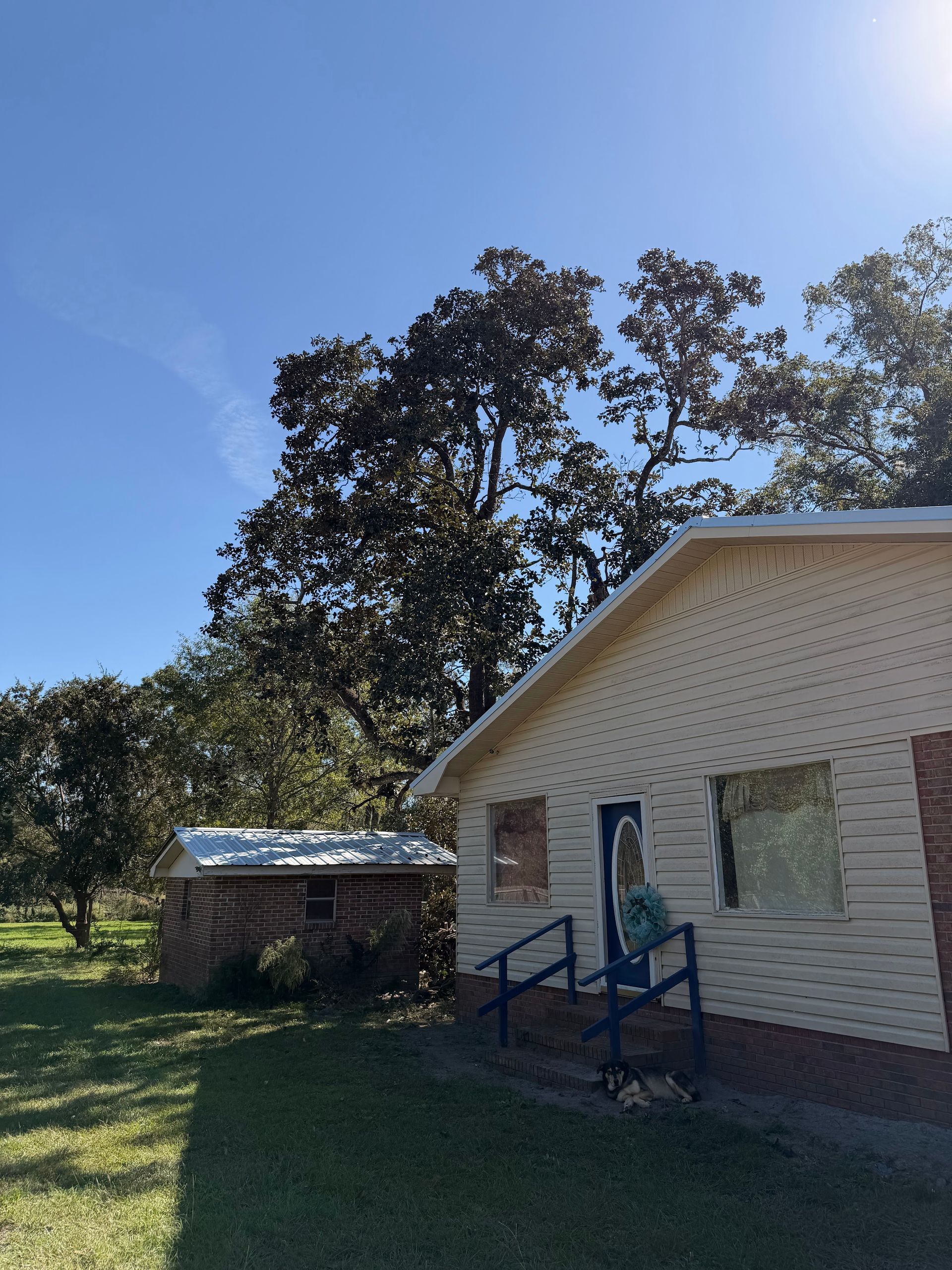 Small white house with blue door and porch, beside a grassy yard and large tree under a clear sky
