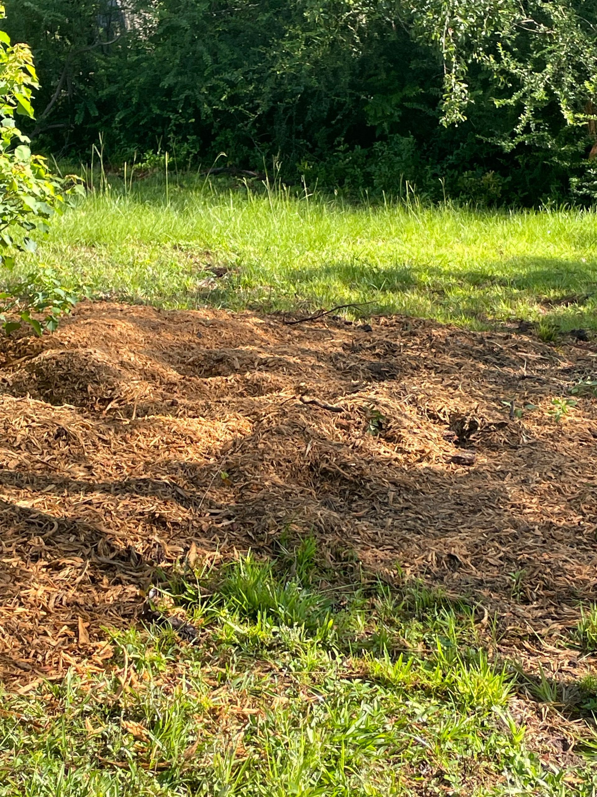 Mulched garden bed in a grassy yard with trees in the background