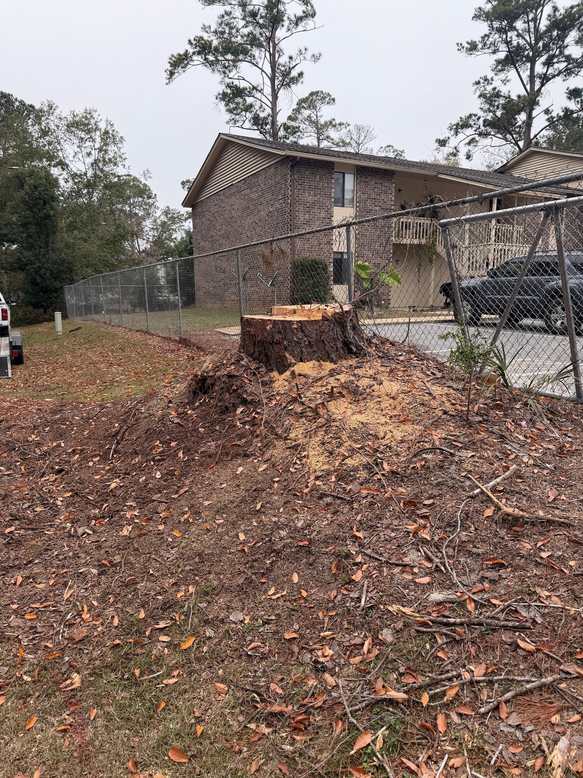 Rainy backyard with a large tree stump, fallen leaves, chain-link fence, and house in the background
