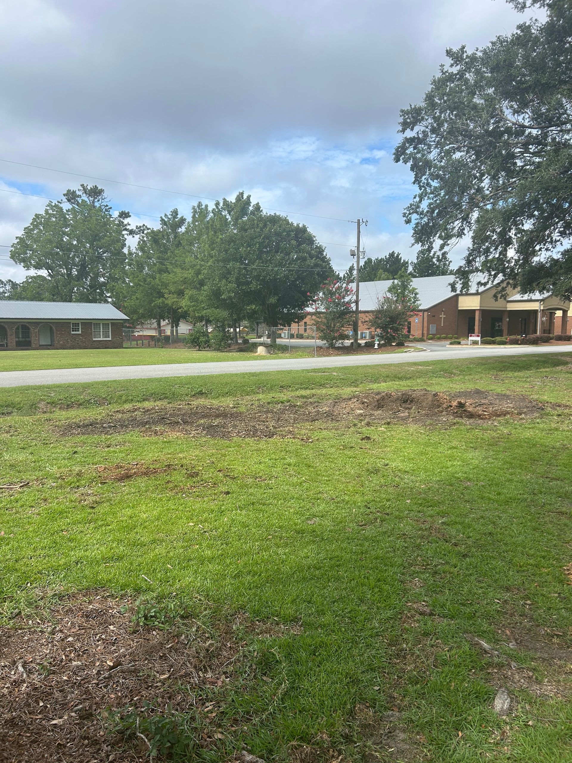 Grassy field with trees and low buildings under a cloudy sky.
