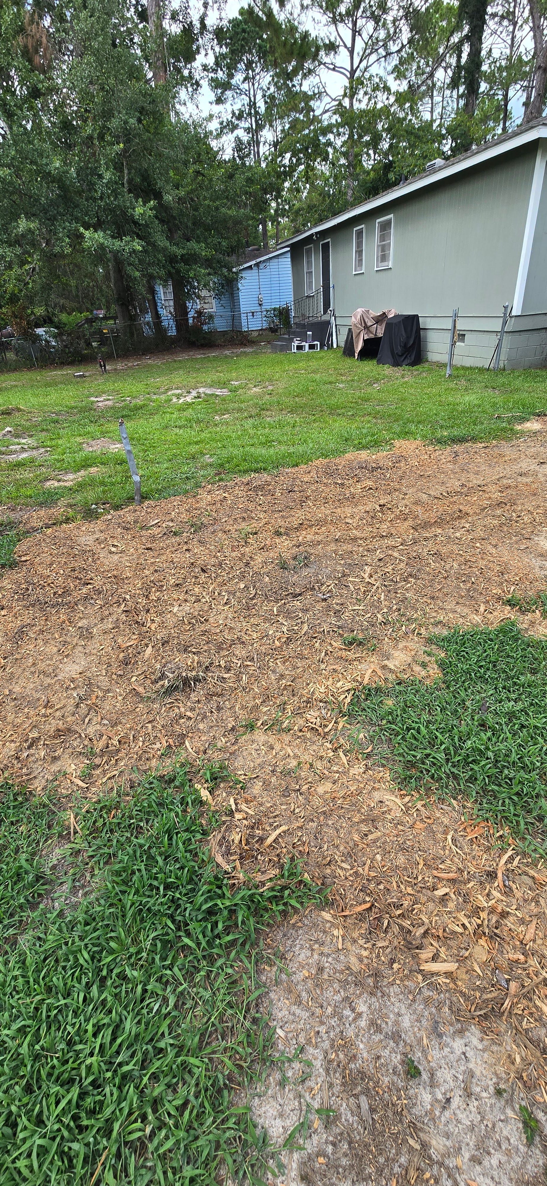 Backyard with a gravel path, green grass, trees, and a gray house on the right