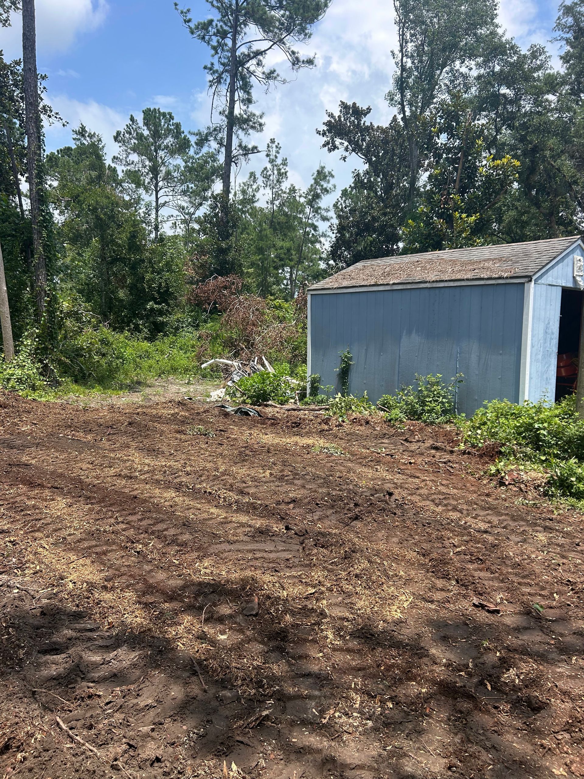 Cleared dirt lot beside a small blue shed, with trees and brush in the background.