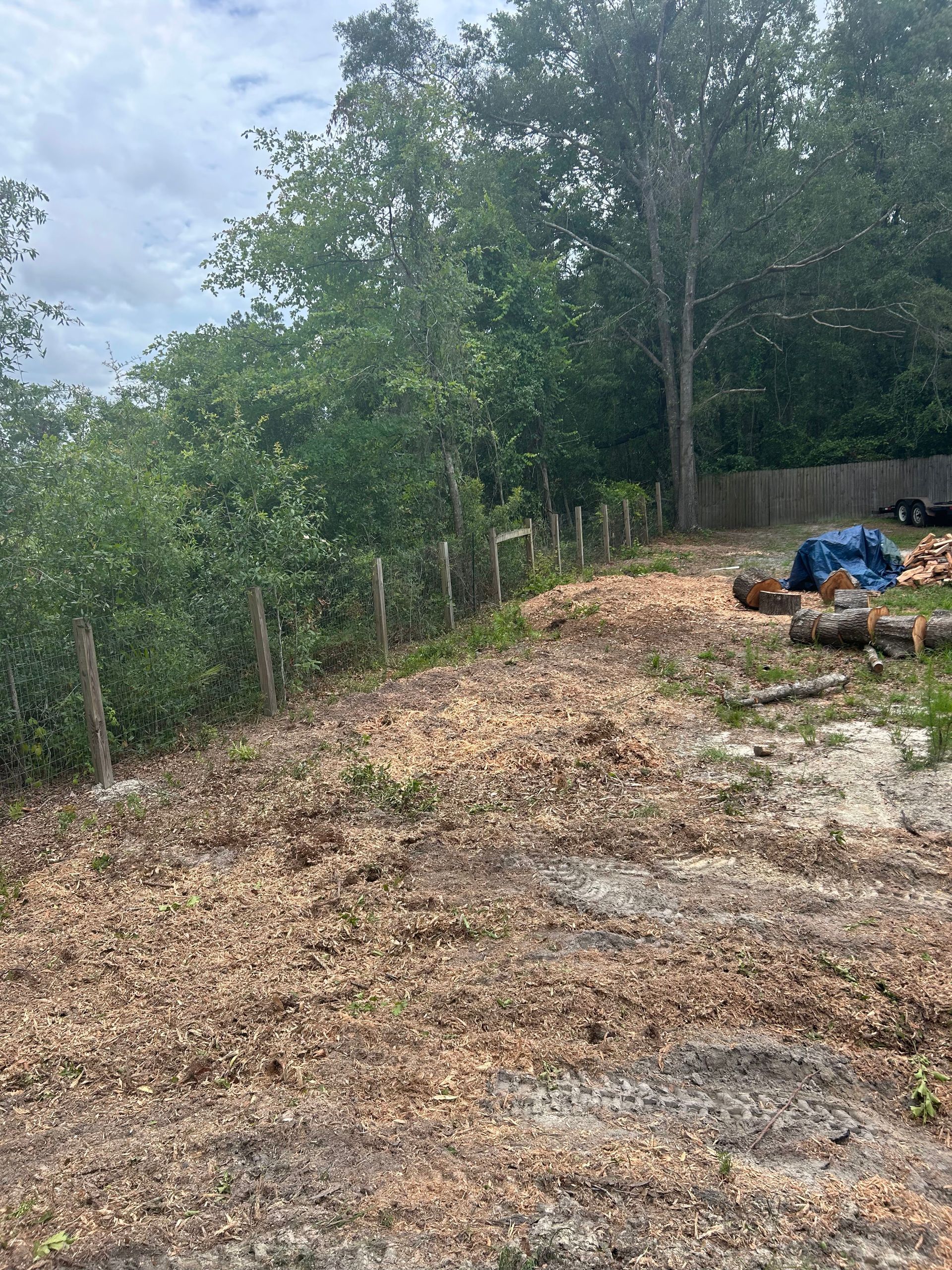 Gravel path beside a wooded area with scattered leaves and a blue tarp on the right