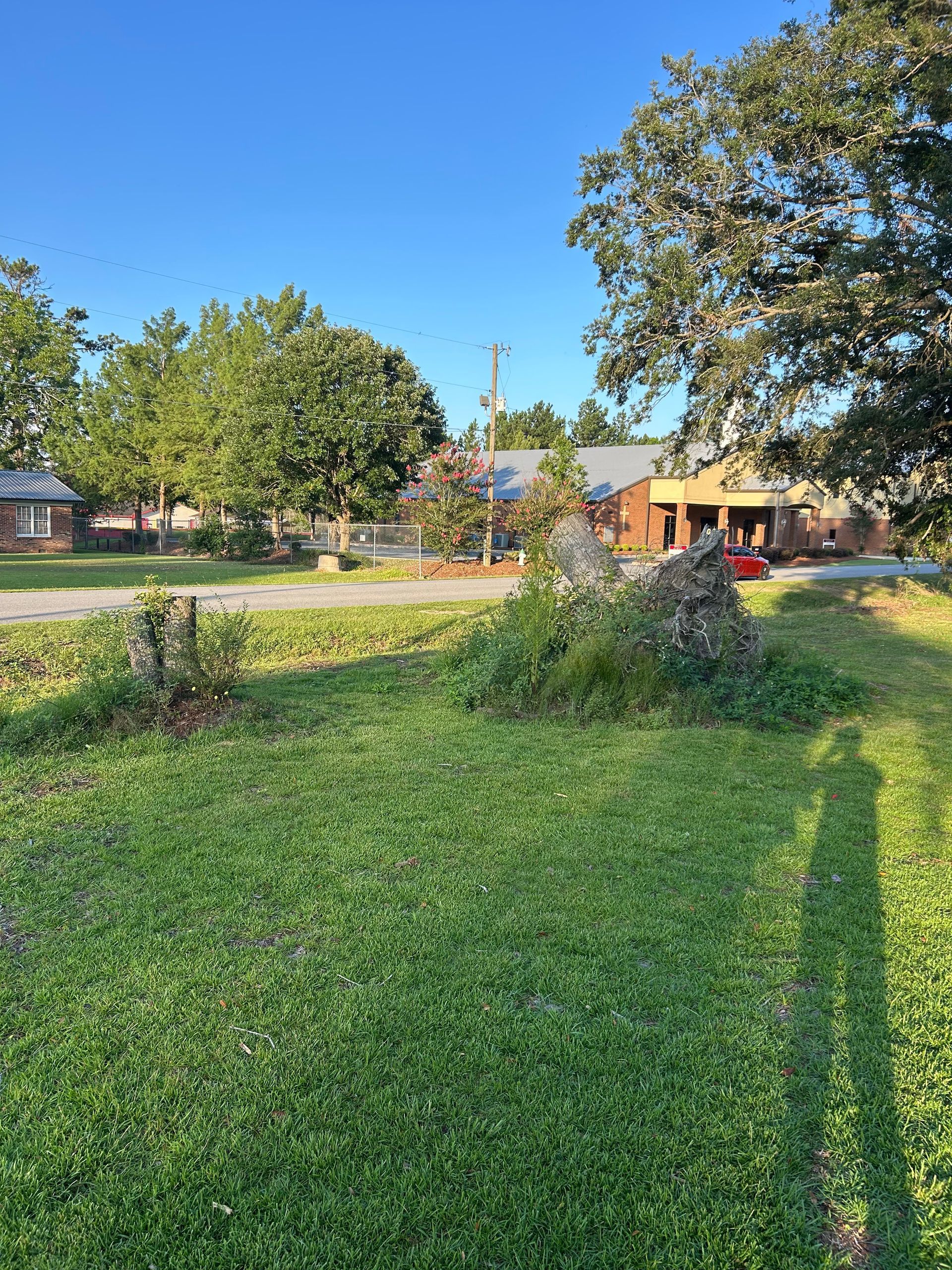 Sunny park with green lawn, trees, and a small building in the background