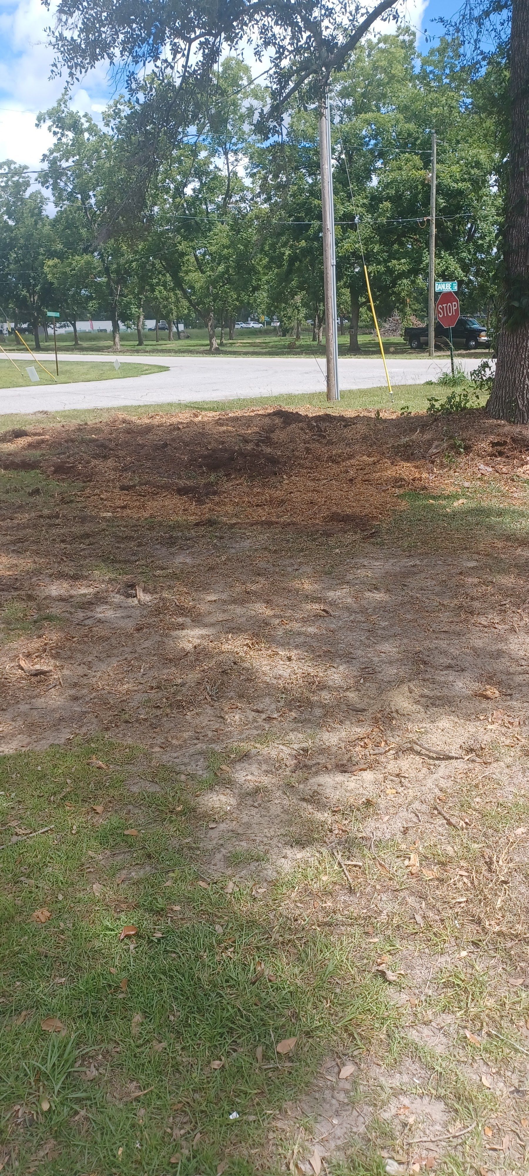 A dirt-covered patch beside a road with trees and a streetlight in the background.