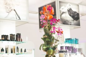 Hair Salon plant