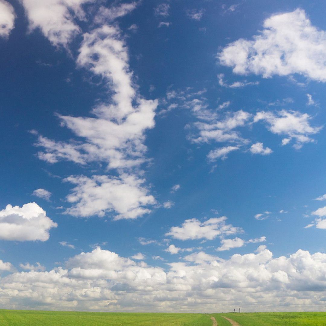 A vast green field under a wide, blue sky filled with scattered white cumulus clouds.