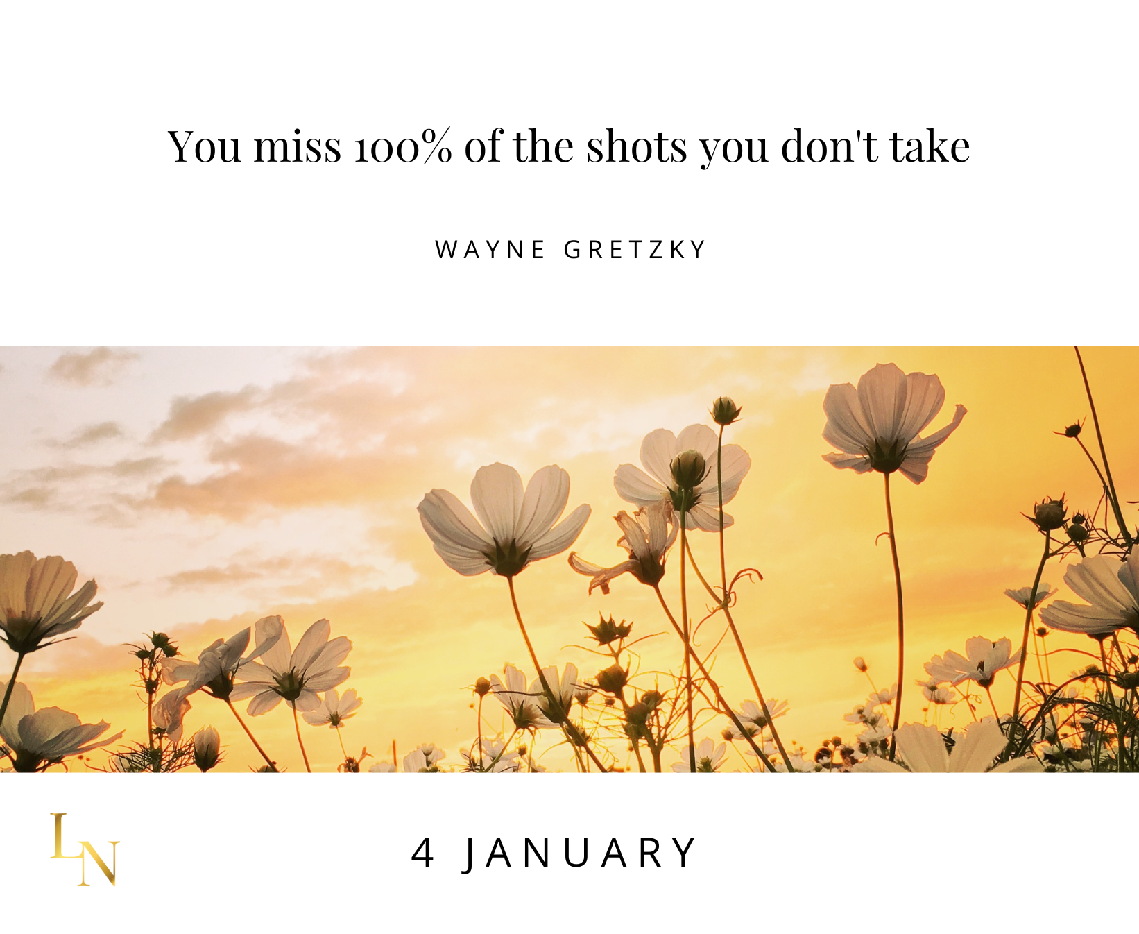 A picture of flowers with a quote that says you miss 100 % of the shots you don 't take