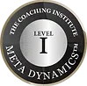 The logo for the coaching institute meta dynamics level ii.