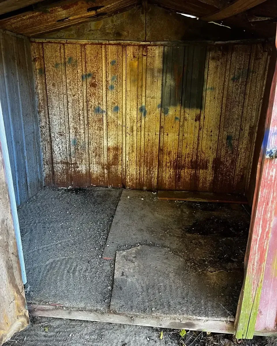 after shed cleanout