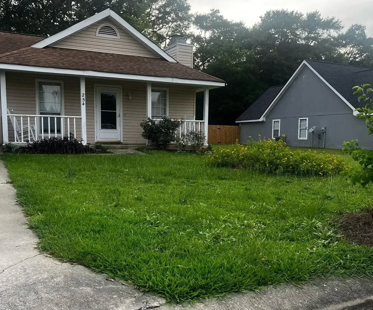 overgrown lawn before moving, lawn care services in atlanta