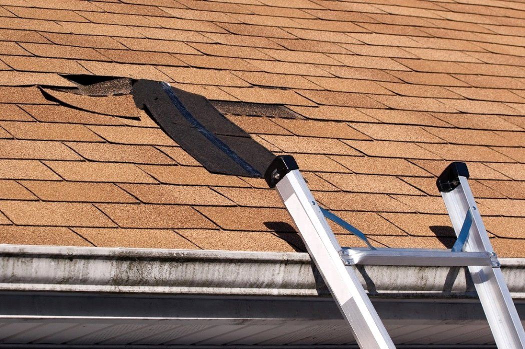 Roof with Ladder Roof with Ladder