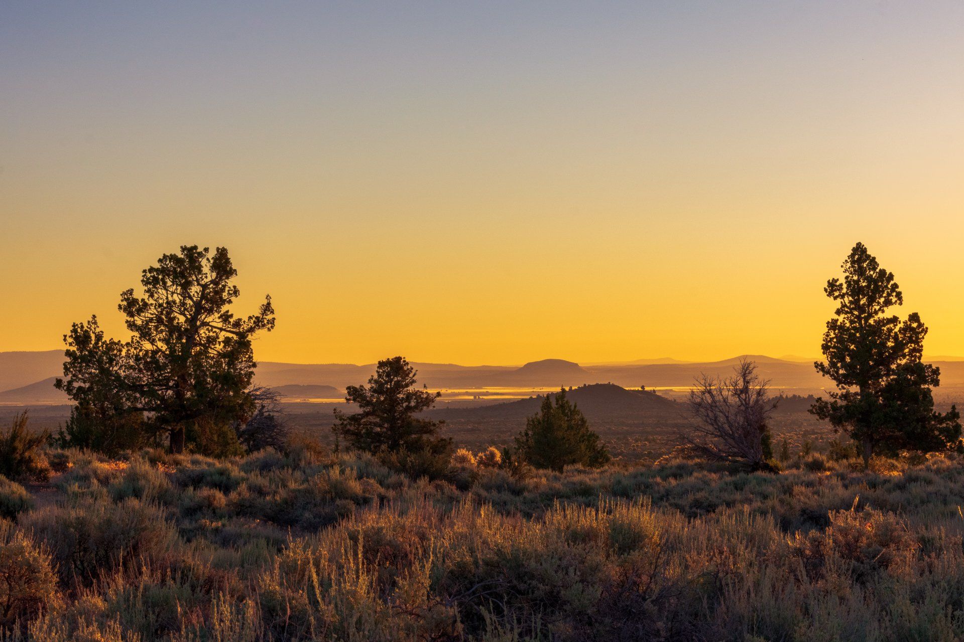 Rebecca Smith — Klamath Falls, OR — Law Office of Rebecca Whitney-Smith
