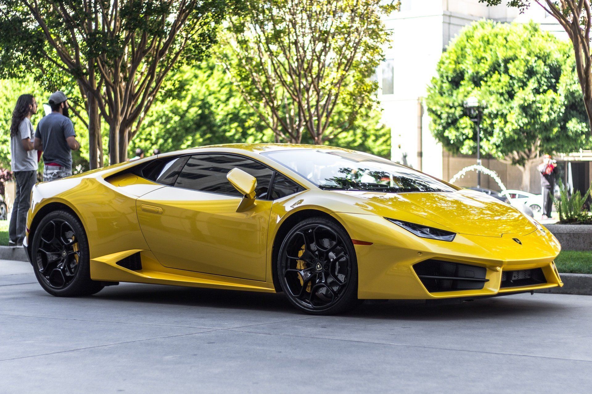 automotive paint protection film