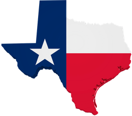 Texas outline in Texas flag colors with a white star, blue left, white top, and red bottom