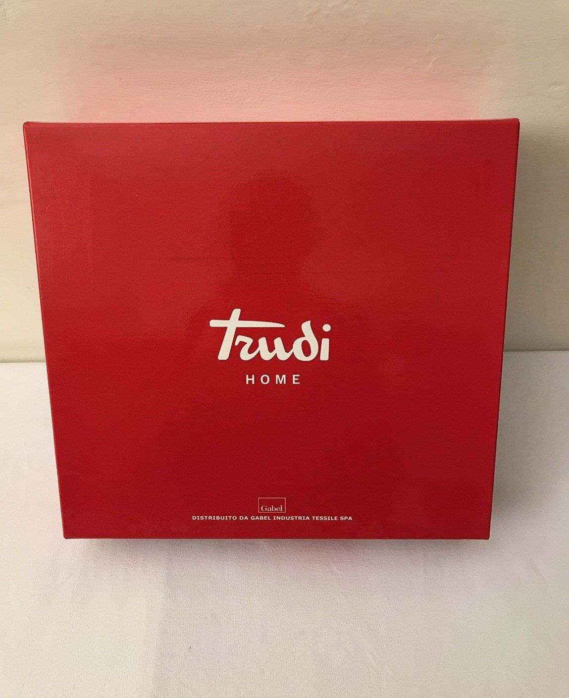logo trudi
