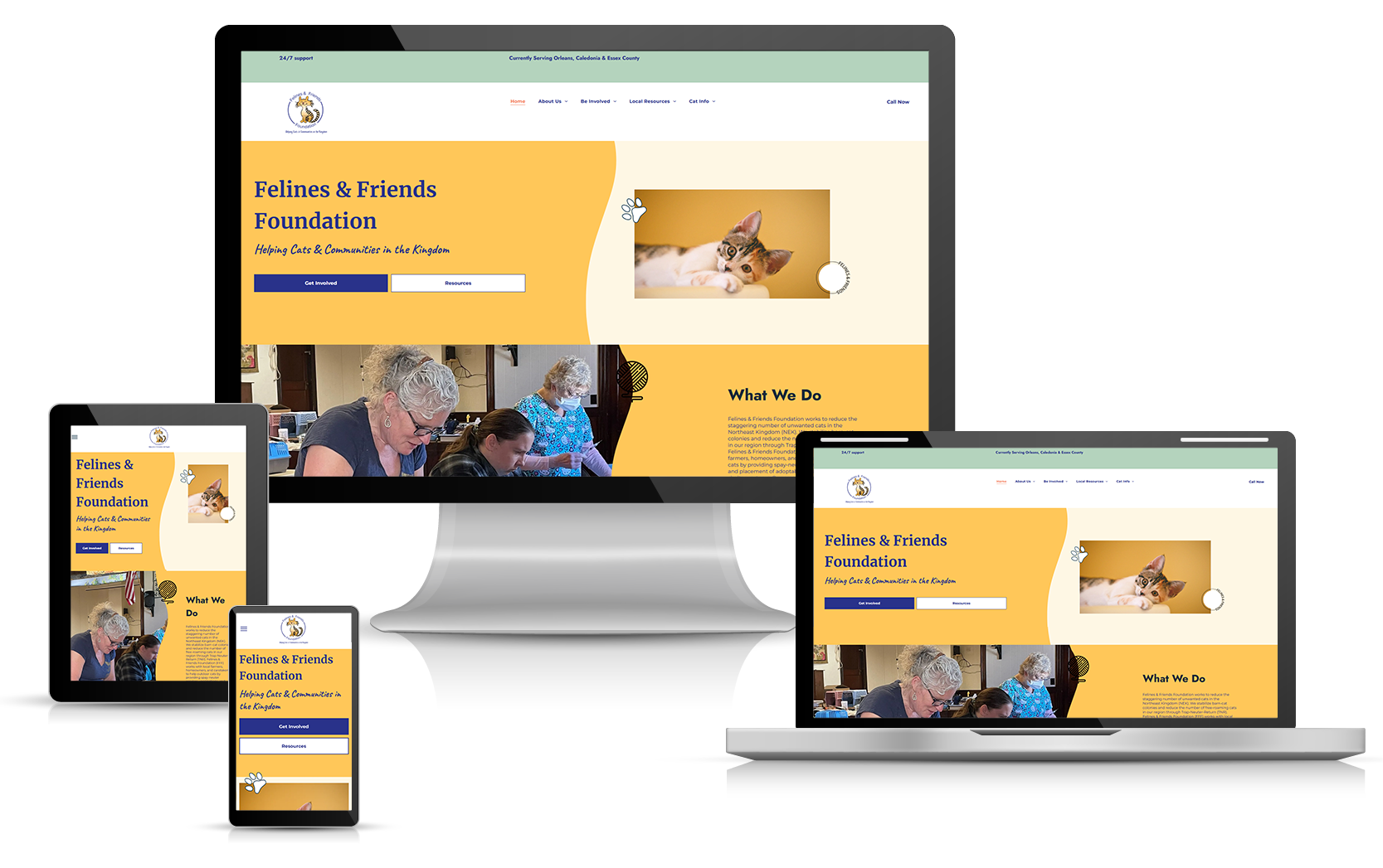 Website mockup on various devices: monitor, tablet, laptop, and phone. Website features yellow and navy design.
