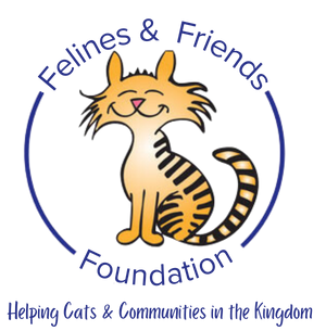 Felines & Friends Foundation logo with a smiling orange cat and the tagline “Helping Cats & Communities in the Kingdom”