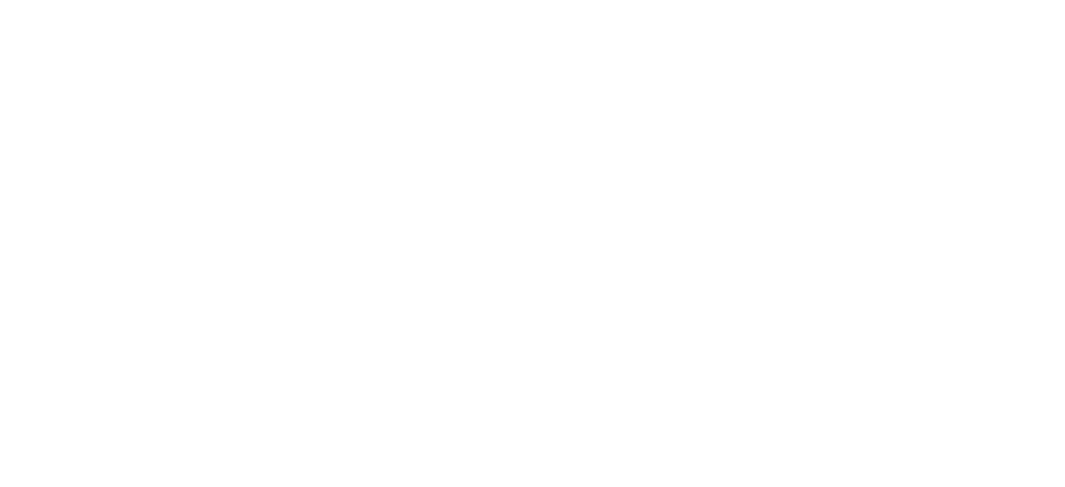 Northeast Kingdom Online logo, a Vermont Website Design & Marketing Company