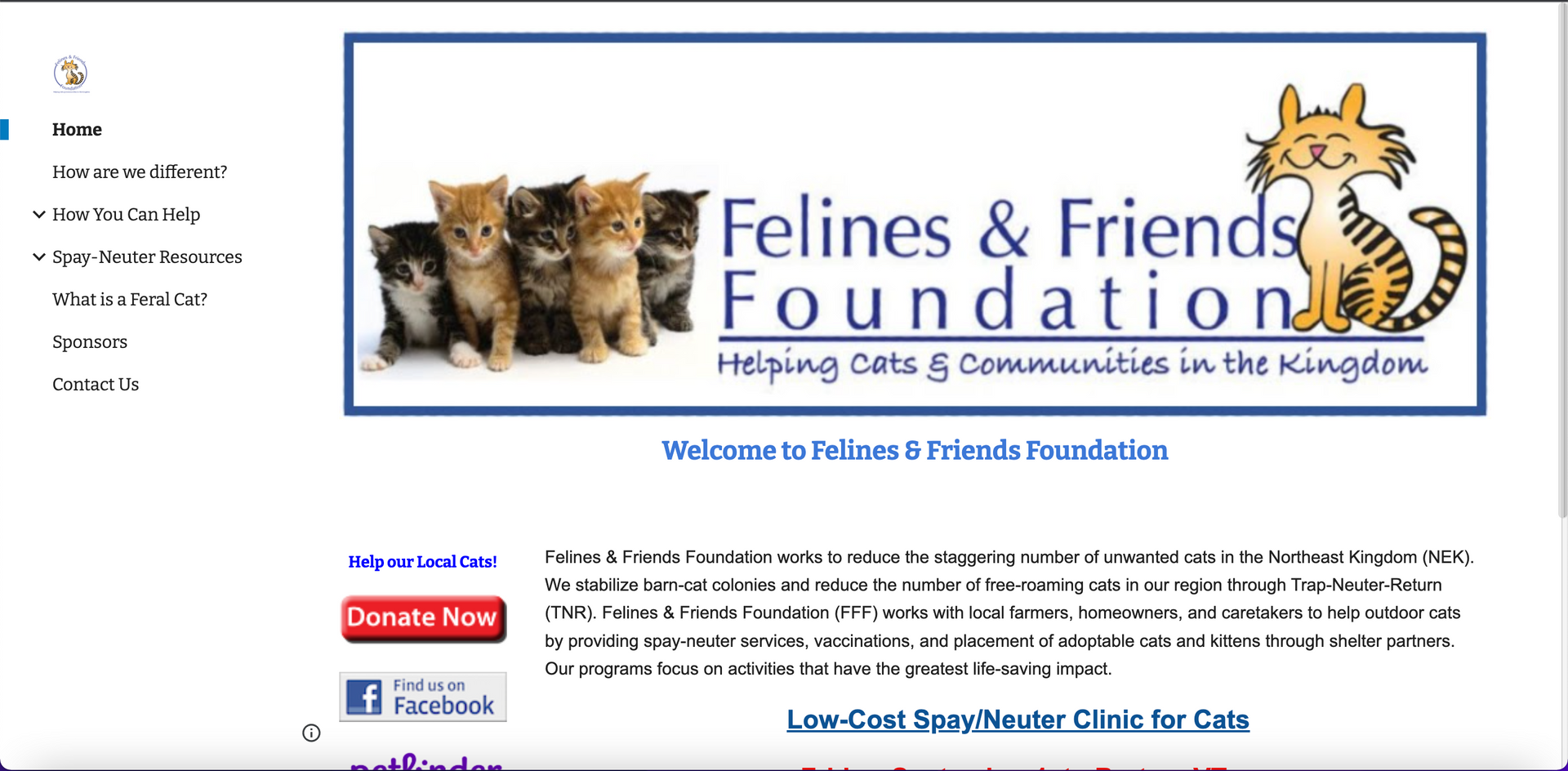 Website header featuring kittens, 