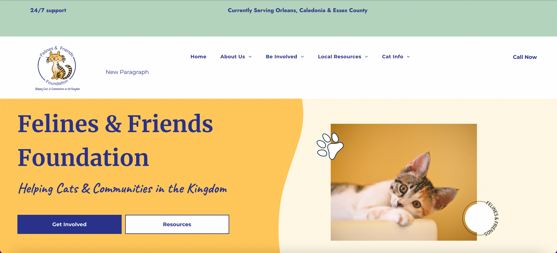 Website for Felines & Friends Foundation, a cat rescue organization, featuring a cat on a yellow background.