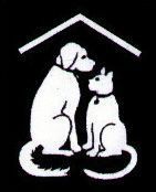 White dog and cat sitting under a white roof on a black background.
