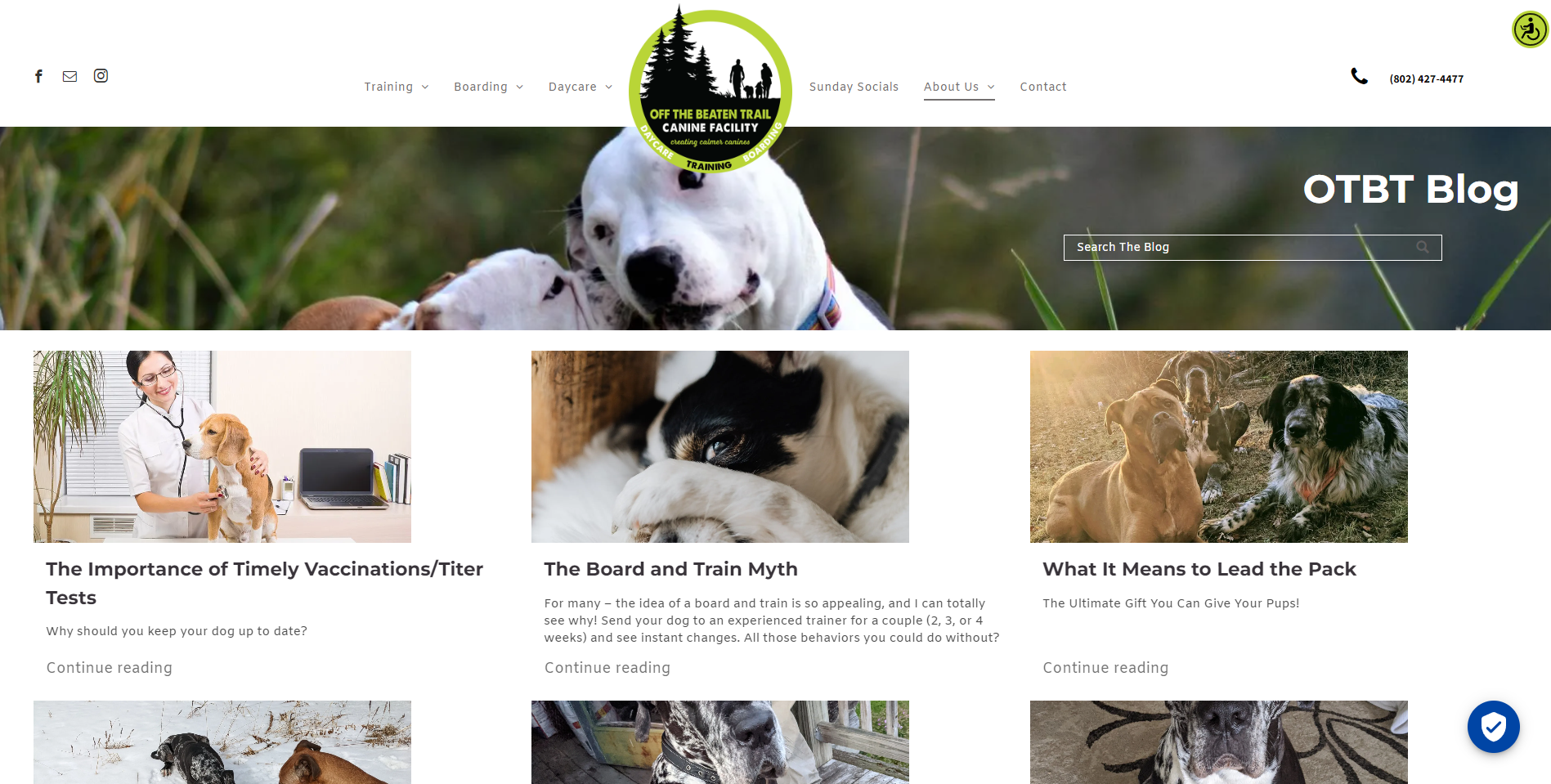 Website homepage: Dalmatian and text-based blog posts about dogs, with a logo in the top center.