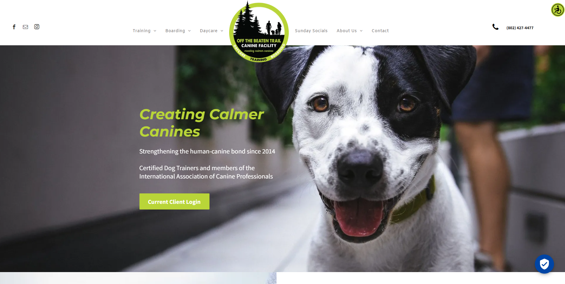 A black and white dog with open mouth, website banner: 