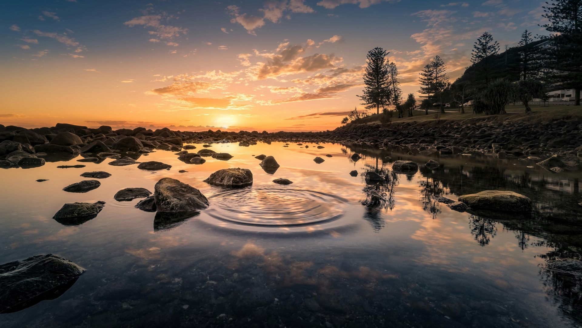 Sunset over a rocky shoreline with calm water, glowing orange sky, and tree silhouettes reflected in the tidepool.