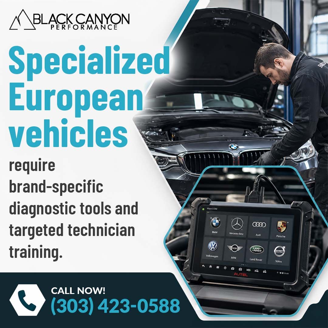 European car repair