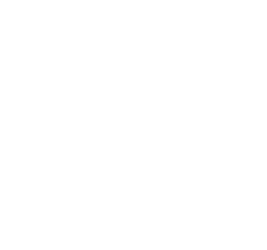 Black Canyon Performance