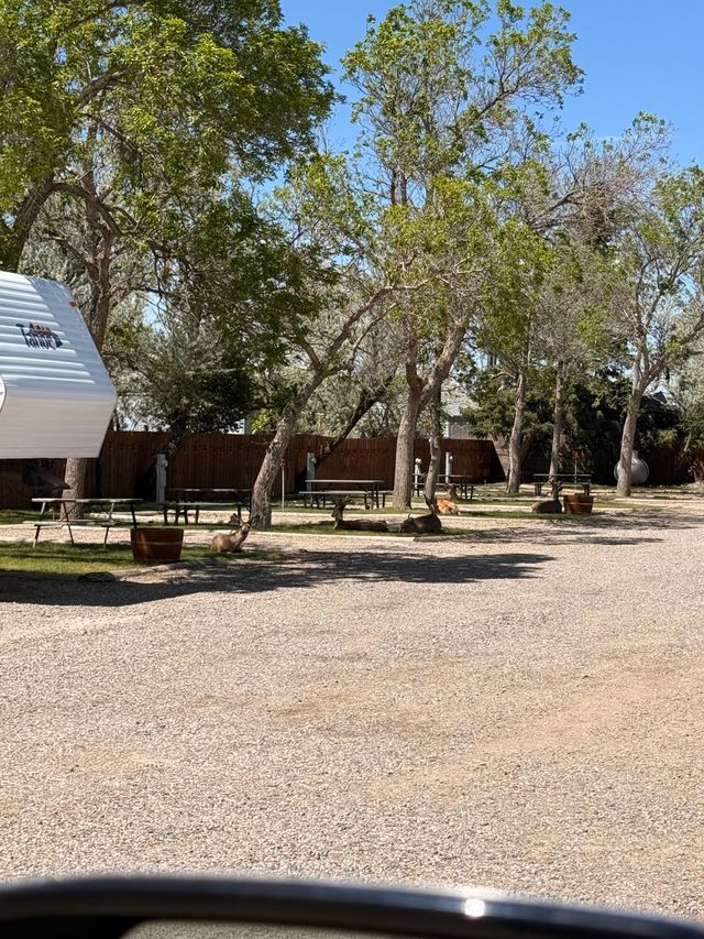 Quiet gravel courtyard with picnic tables and trees beside a white building under a blue sky