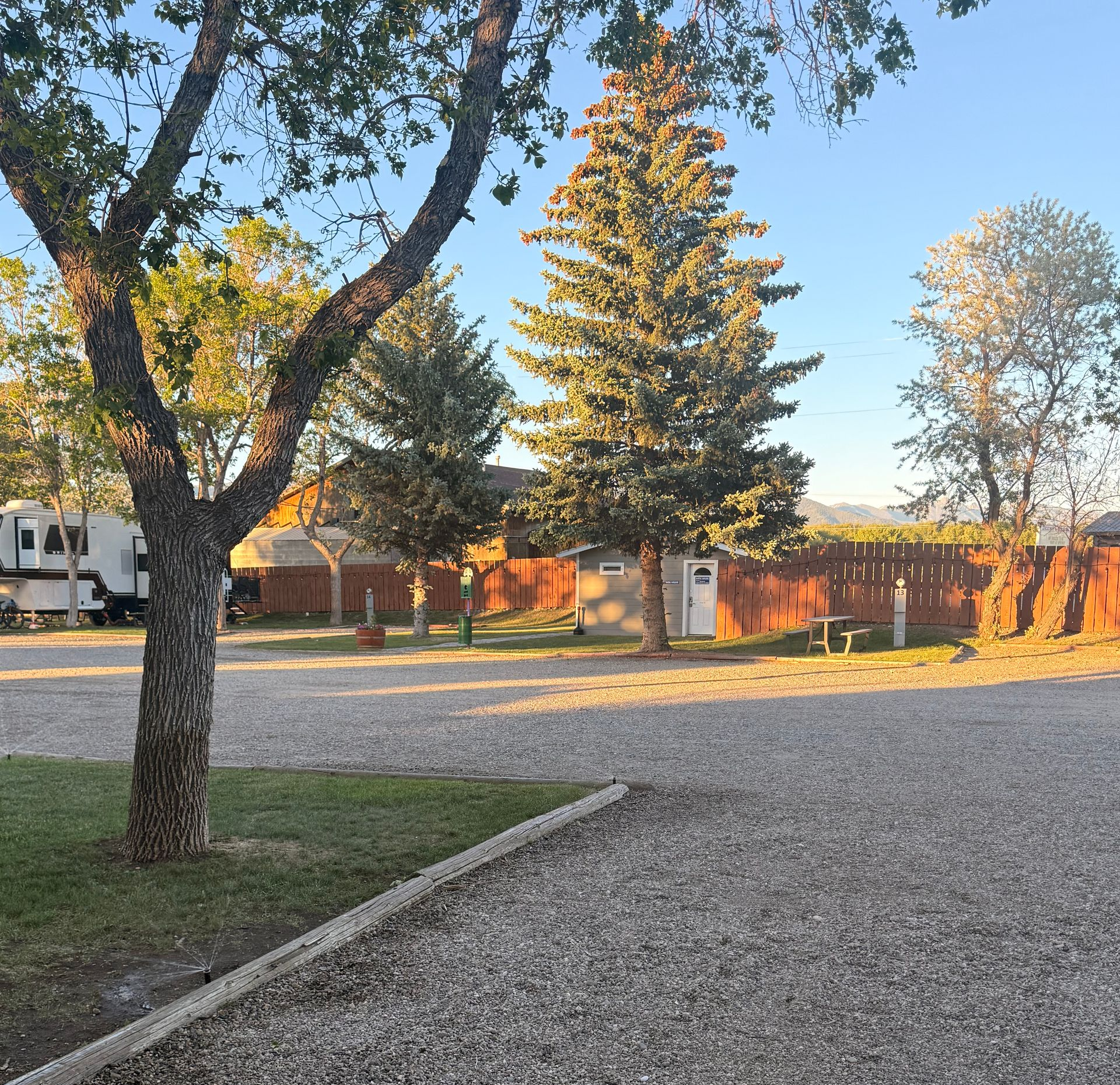 Gravel parking area with trees, a wooden fence, and a sunlit house in the background at dusk