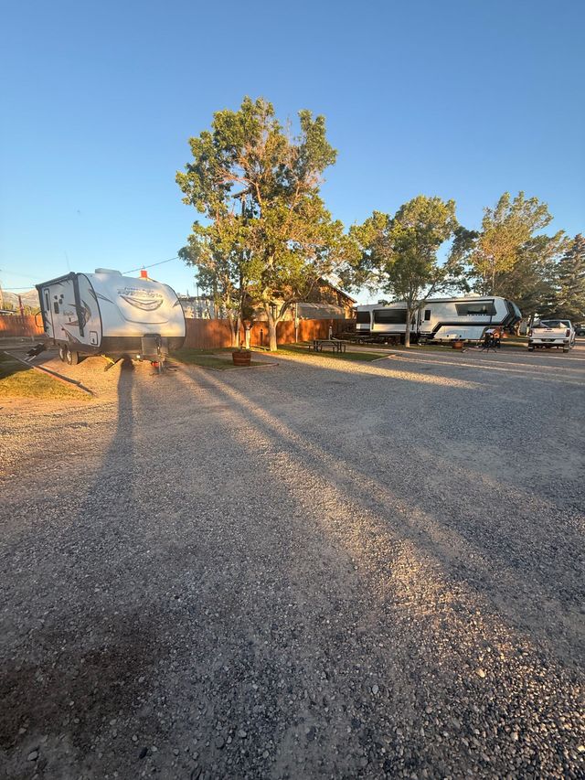 Gravel driveway at sunset beside a large tree and parked vehicles near a white building