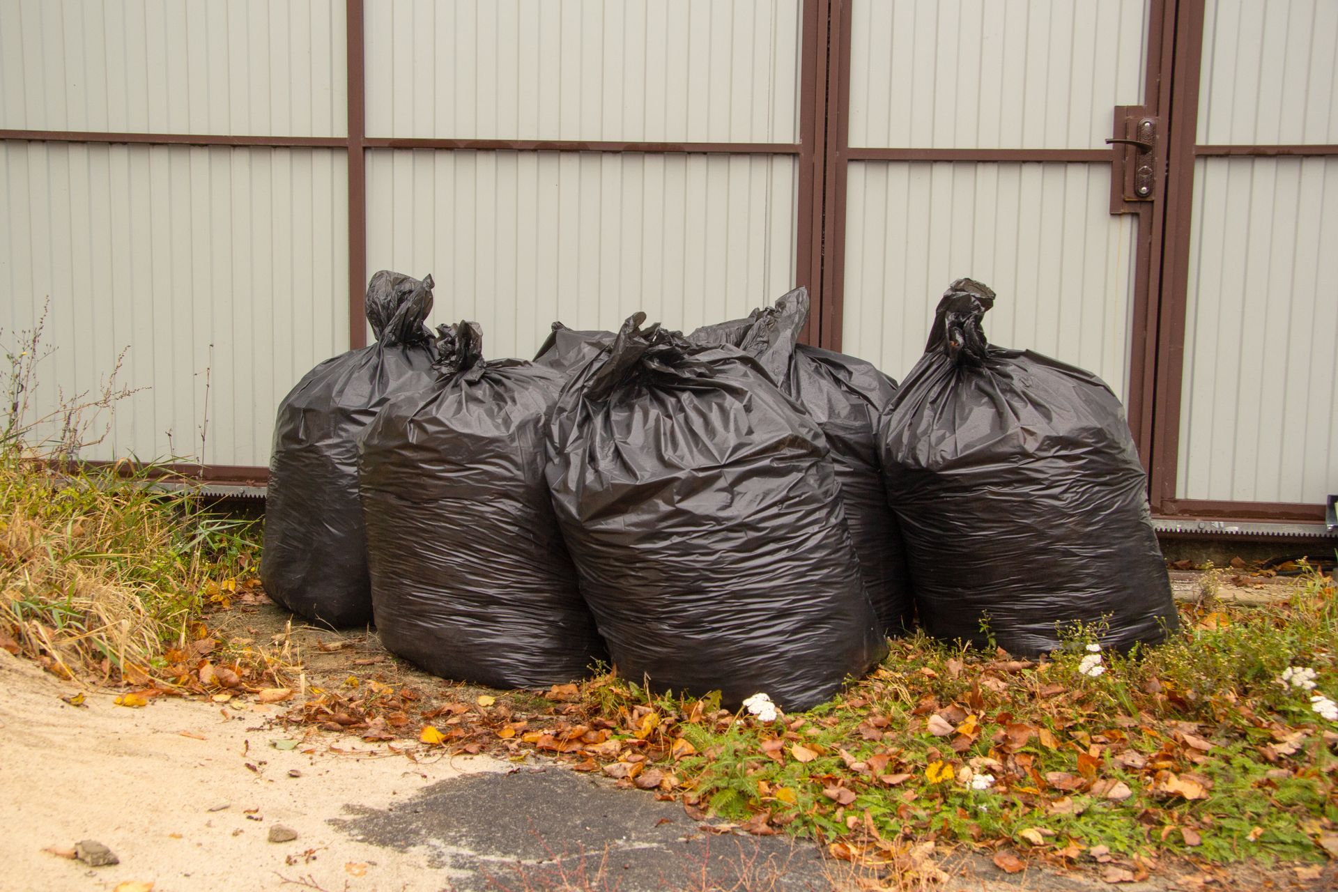 Yard Debris Removal | Caribbean Junk Removal