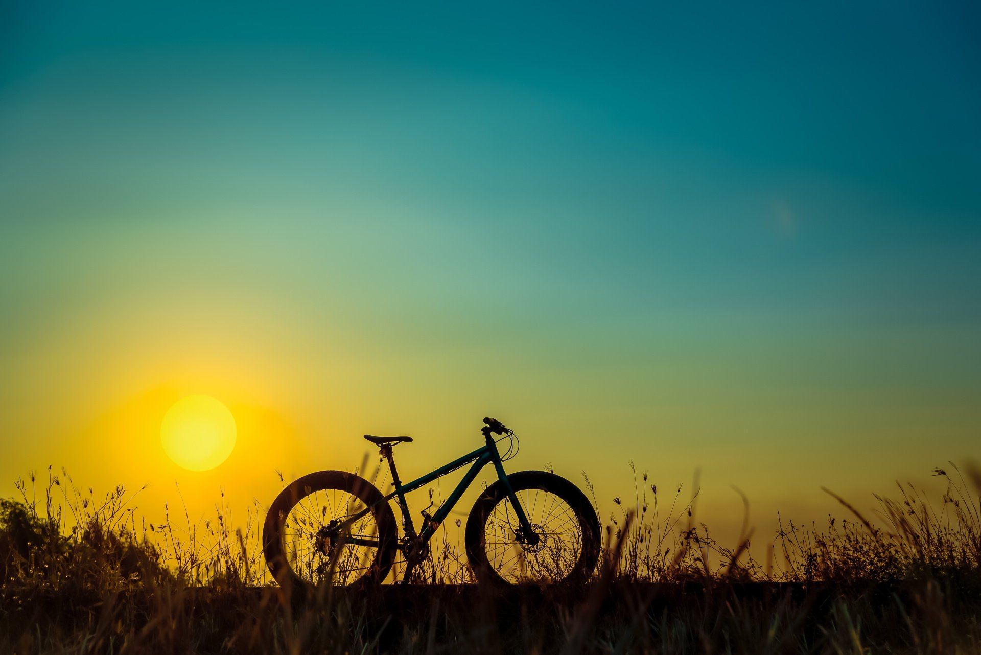 Fatbike en contrejour