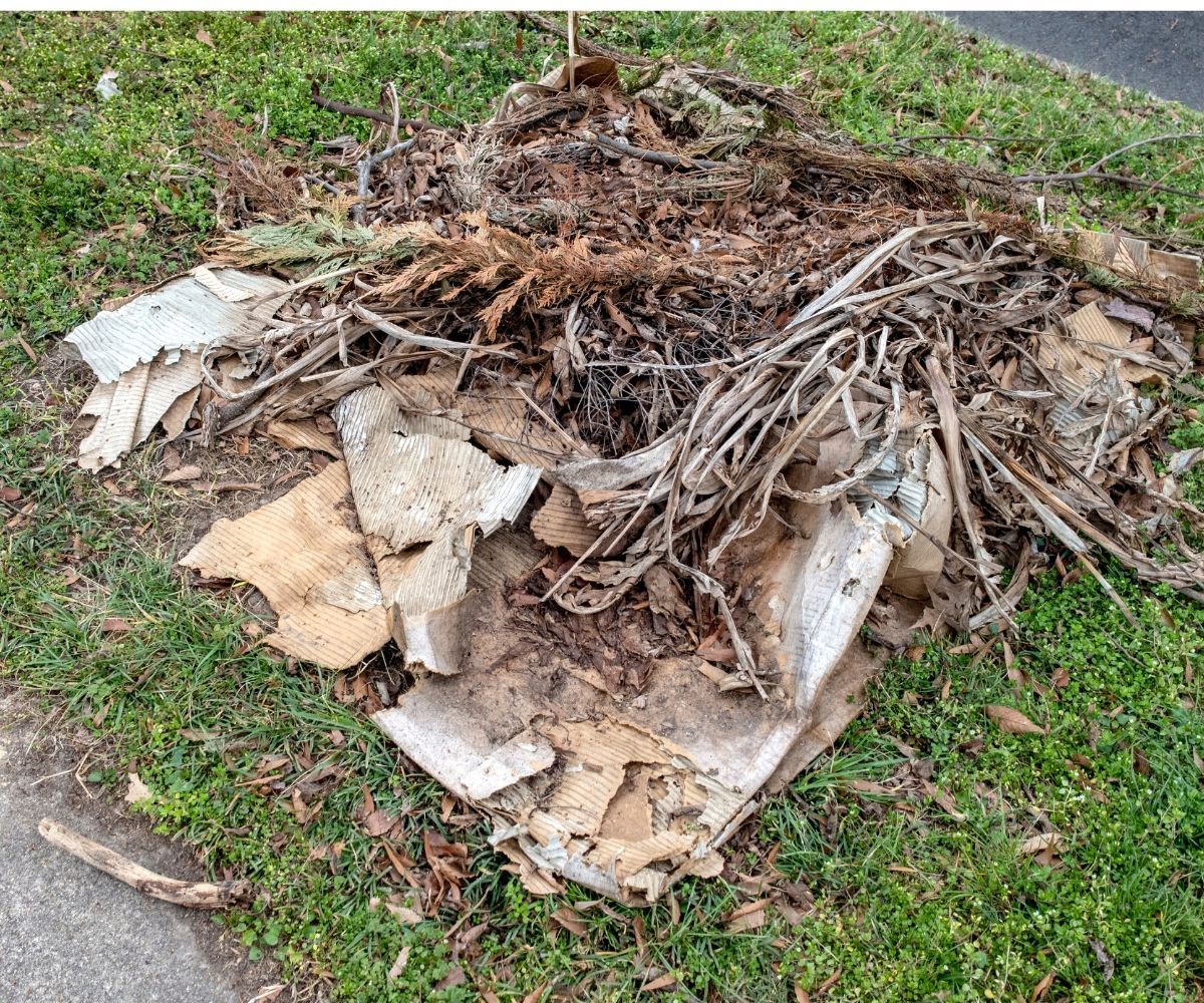 yard debris removal in Virginia Beach