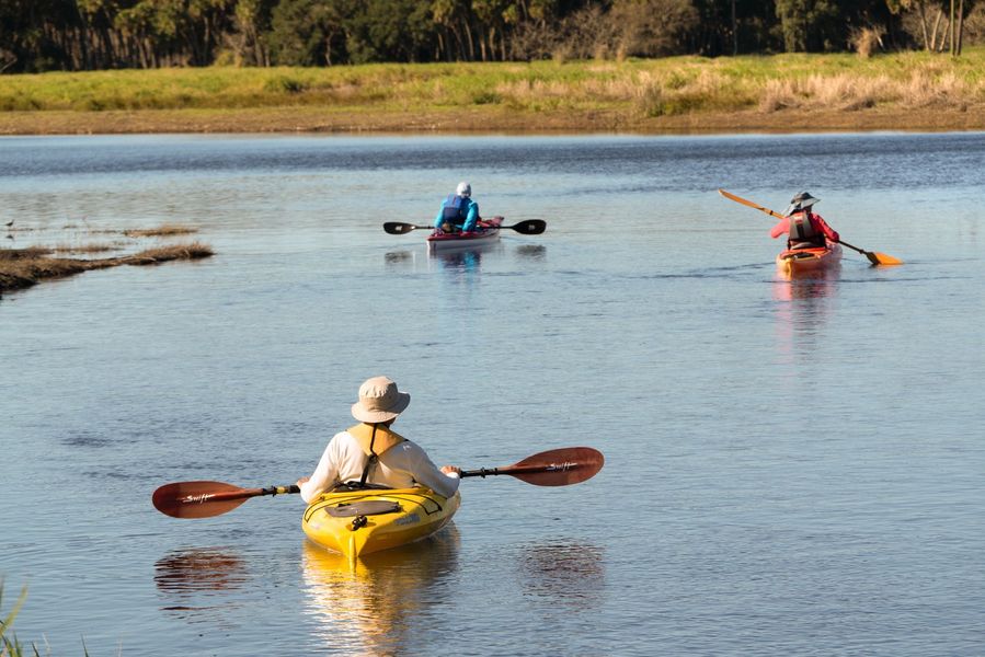 kayakers on gentle waters